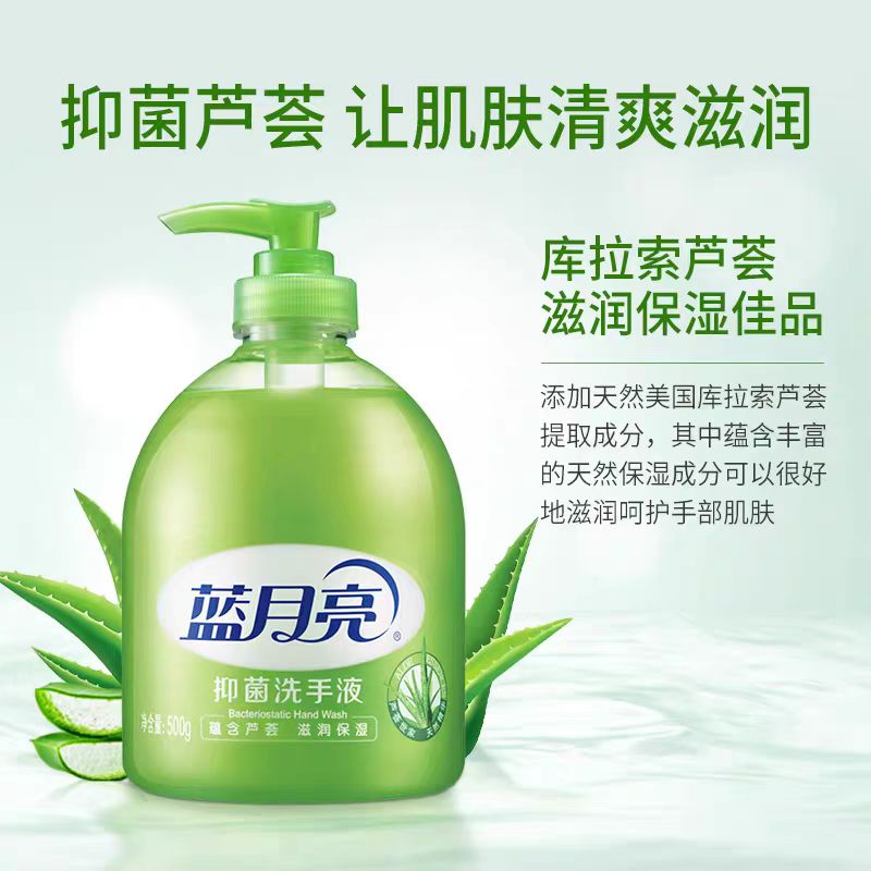 洗手液-蓝月亮/500g
